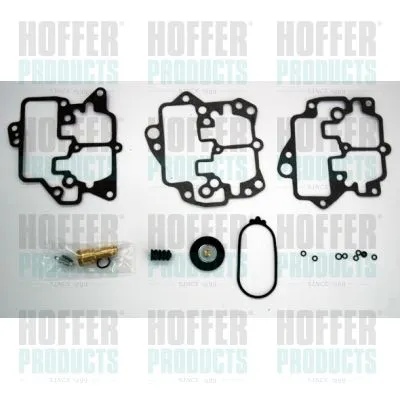 Ремкомплект карбюратора HOFFER N751
