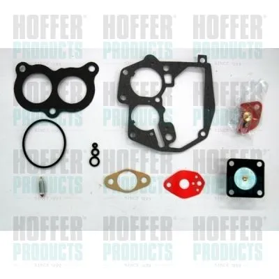 Ремкомплект карбюратора HOFFER S43G